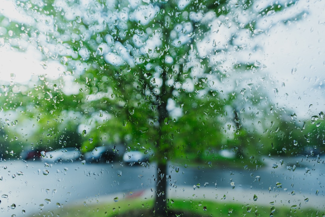 water droplets on glass viewing green tree