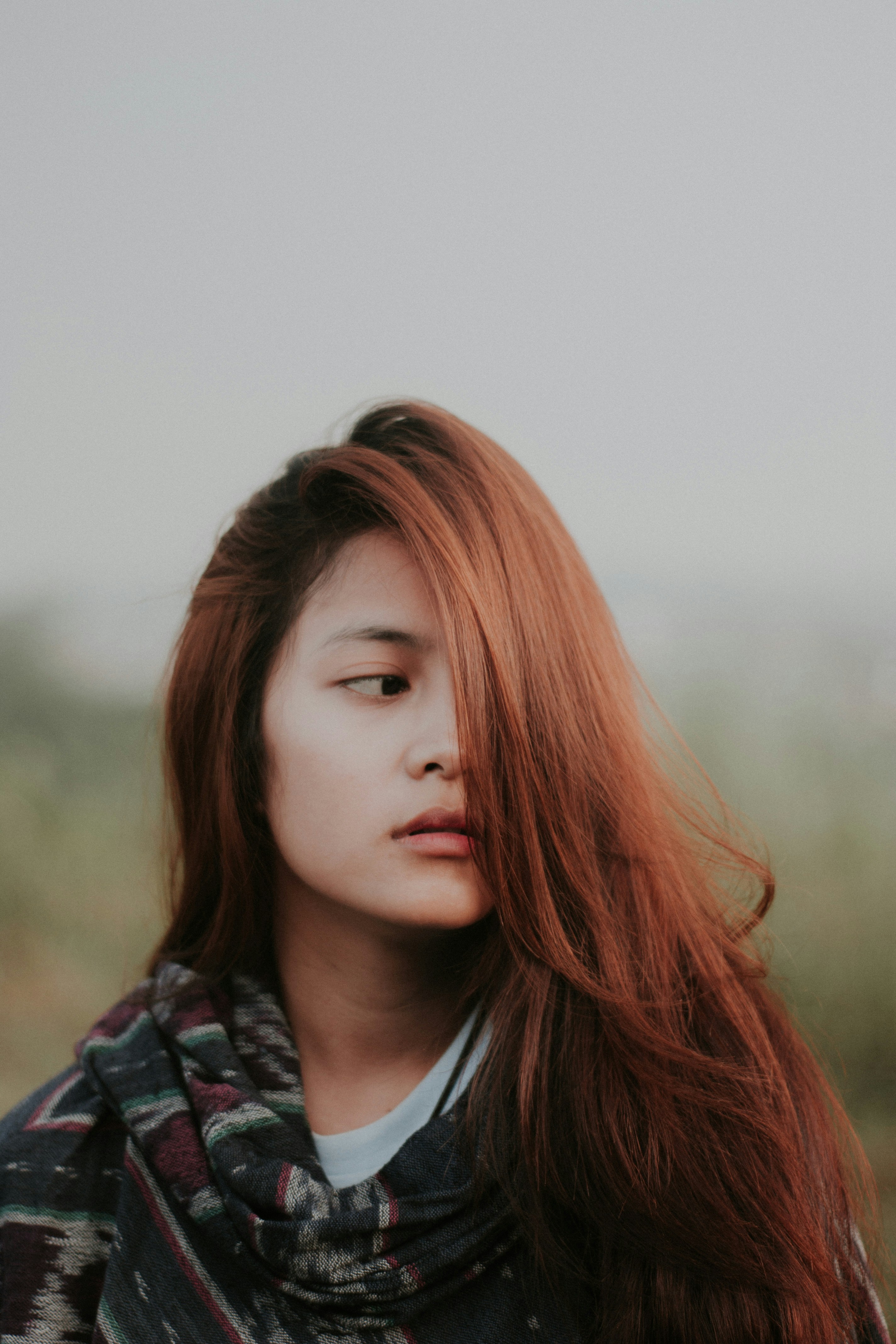 500k Creative Commons Images Free Download Beautiful Pictures