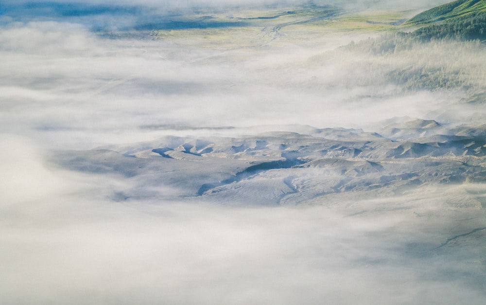 white sea of clouds