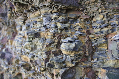Layers of rock formations, exhibiting a variety of textures and colors, with distinct horizontal strata and some vertical cracks. The rocks have earthy tones, predominantly grays and browns, with some areas of exposed sedimentary layers that suggest geological activity over time.