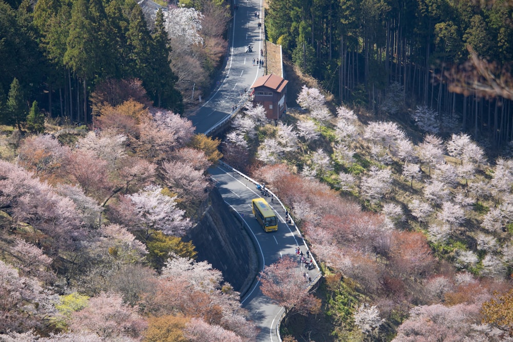 Bus roulant sur la route