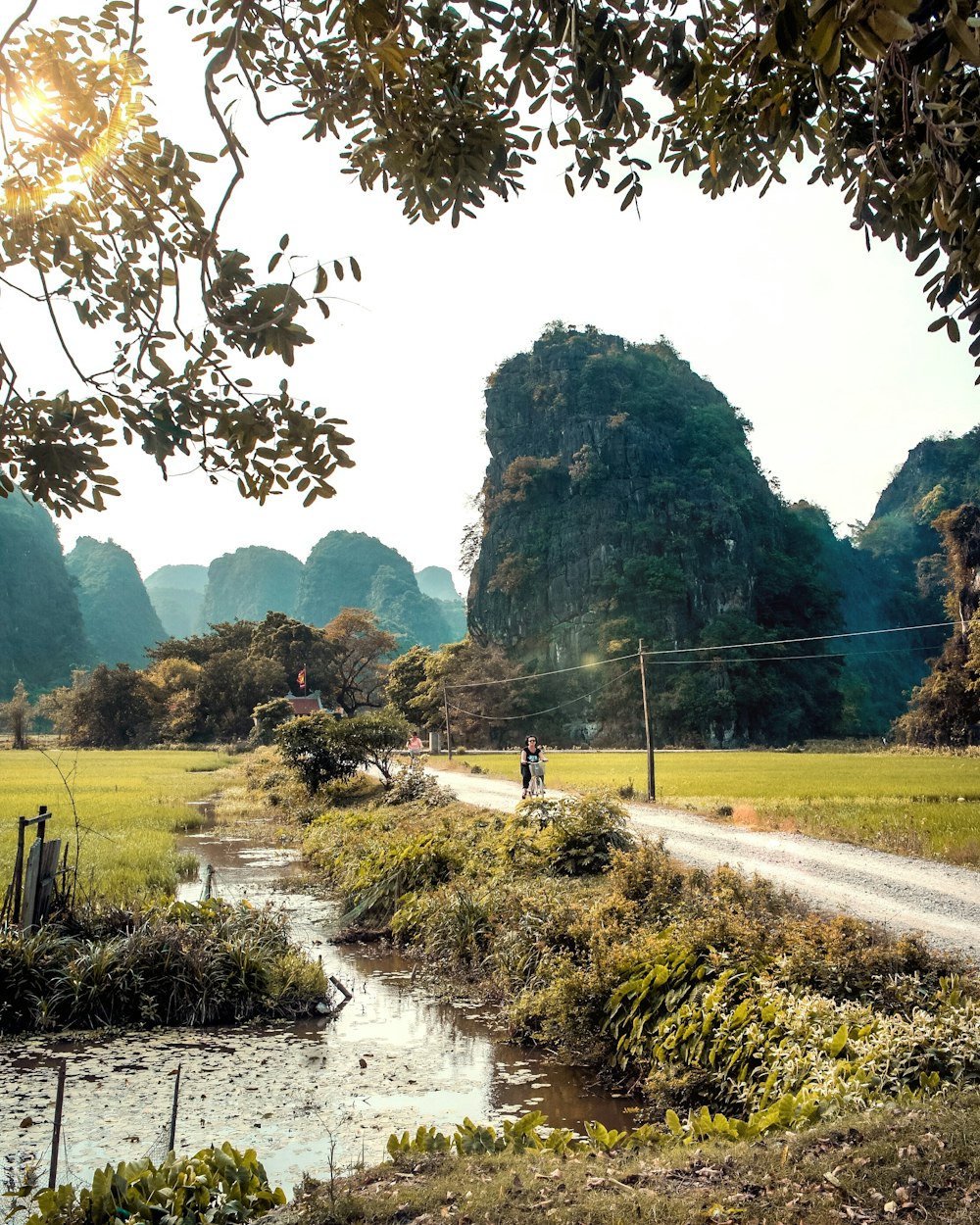 person standing on road beside body of water