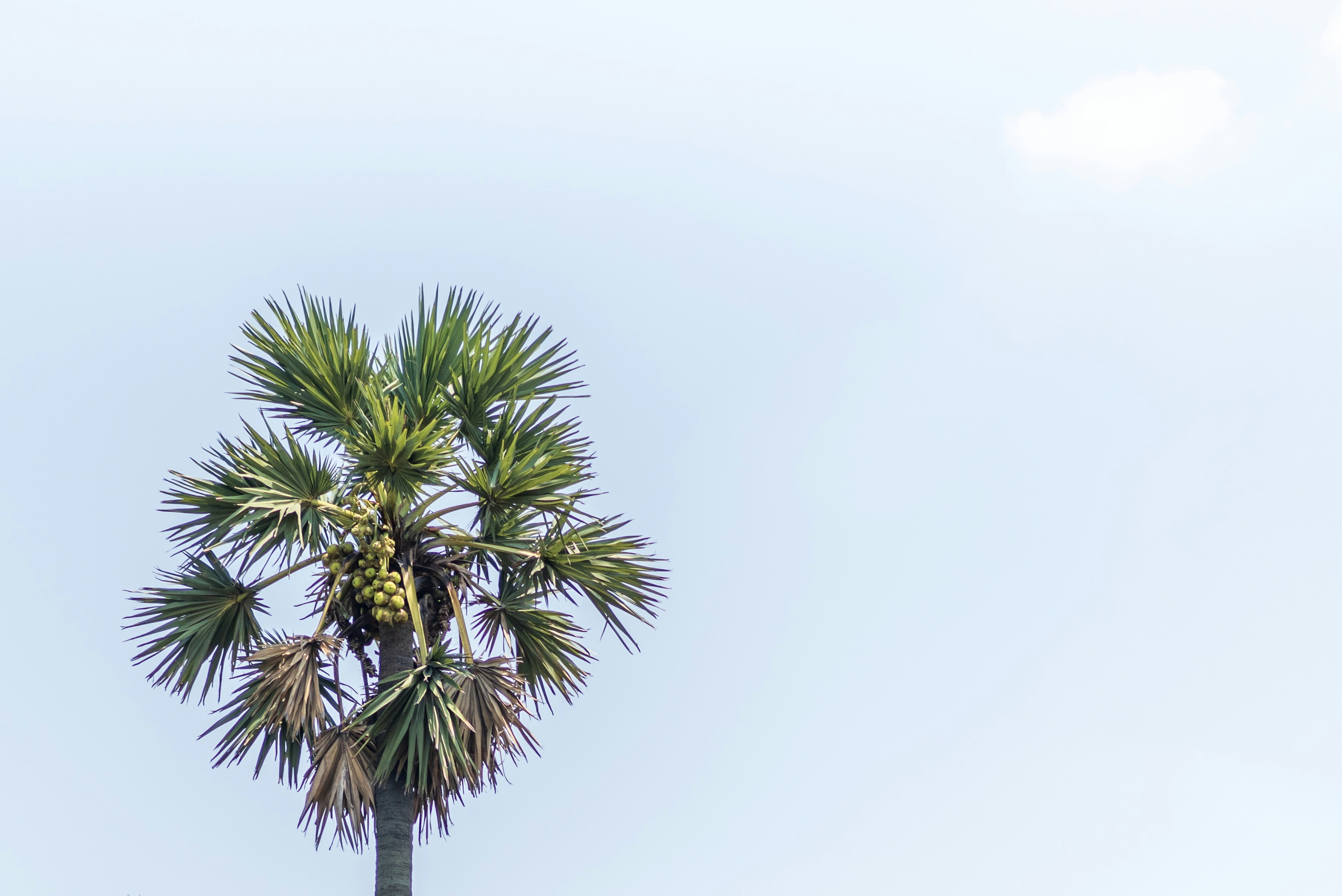 Photo by timesofwander