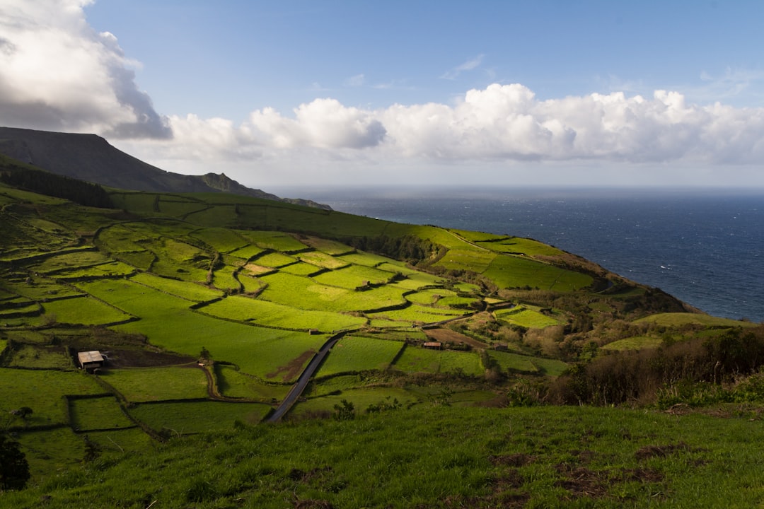 Portugal Calling: Crafting the Perfect Itinerary for First-Timers O… — Portugal Calling