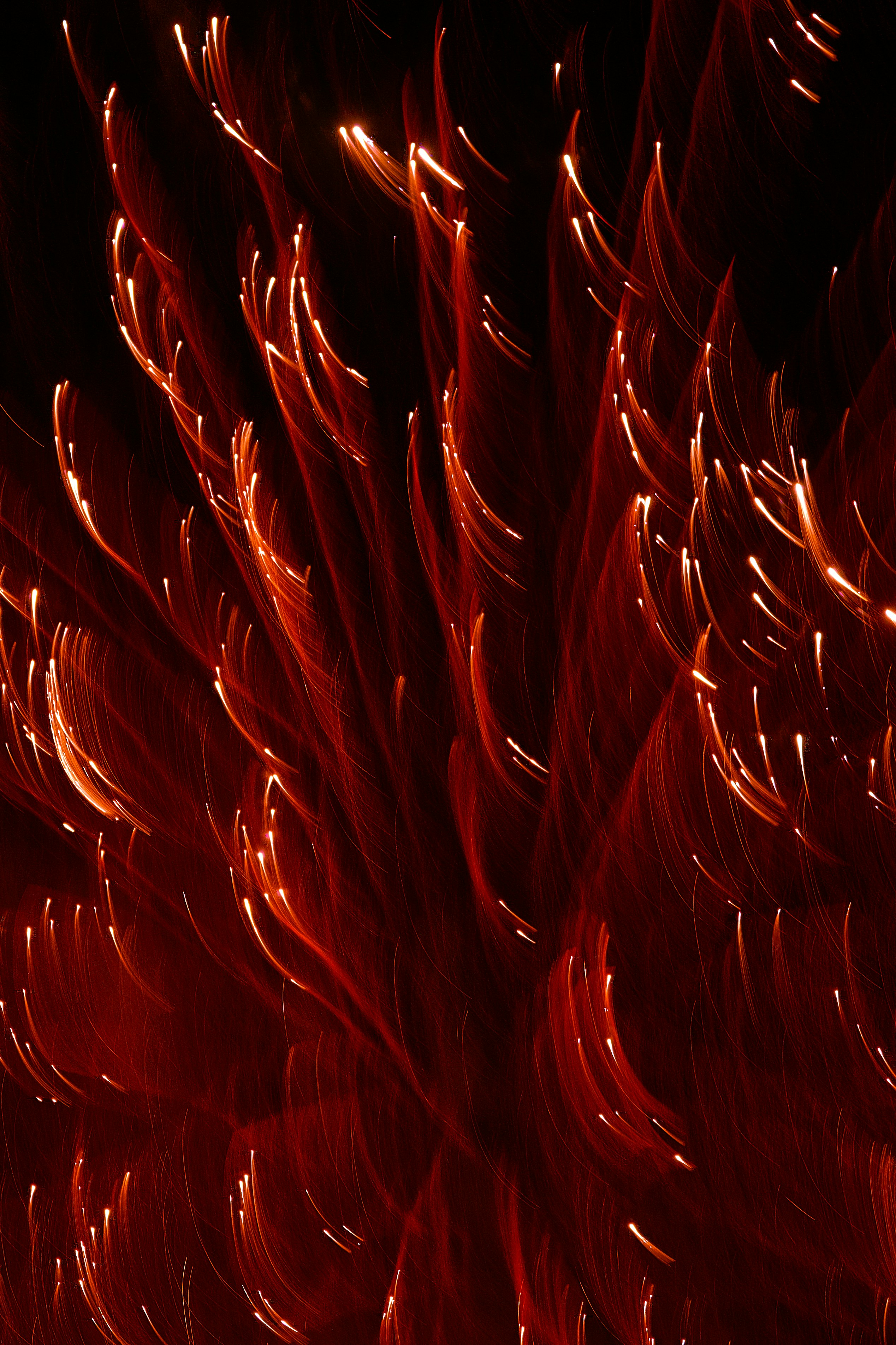 closeup photography of red lights