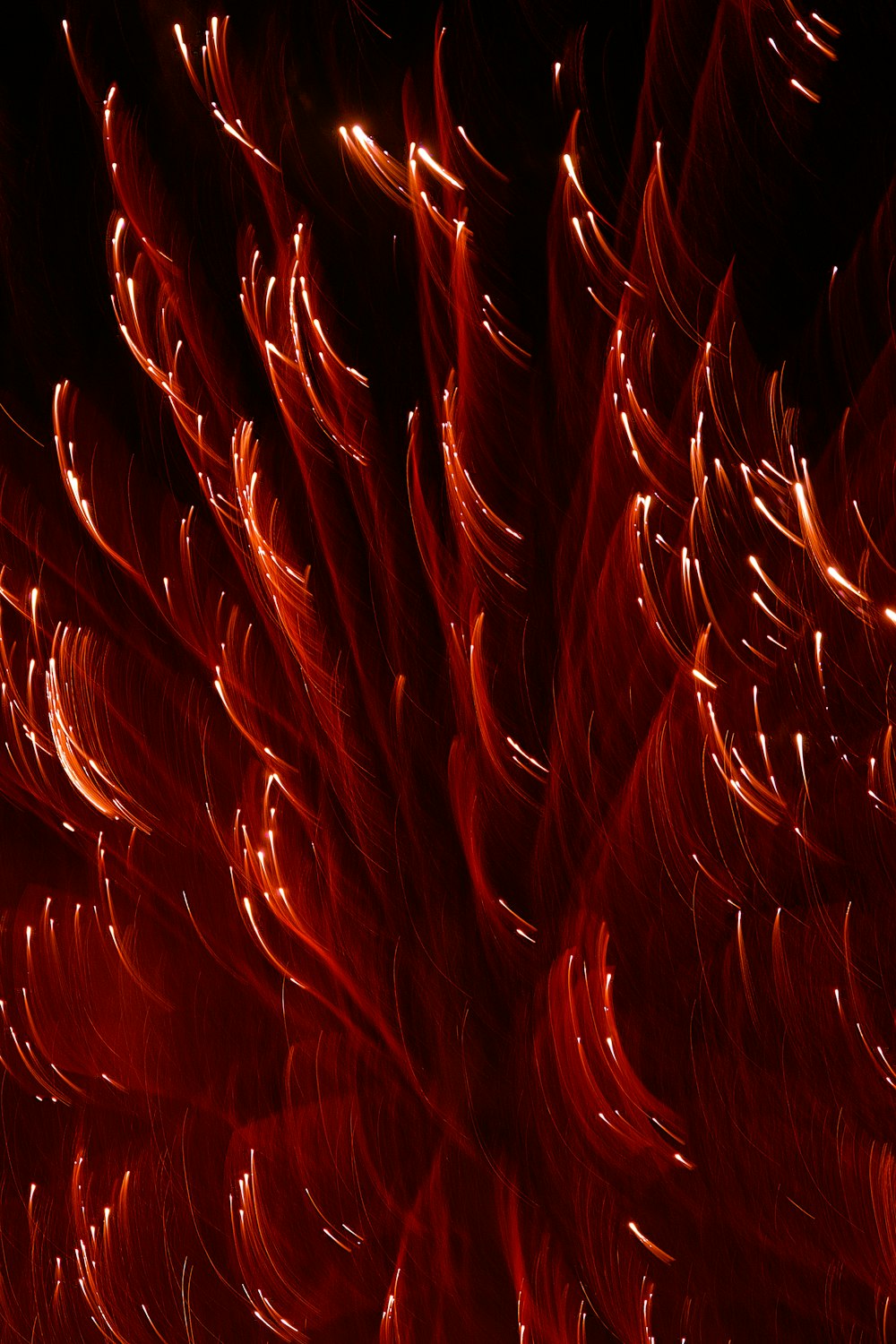 closeup photography of red lights