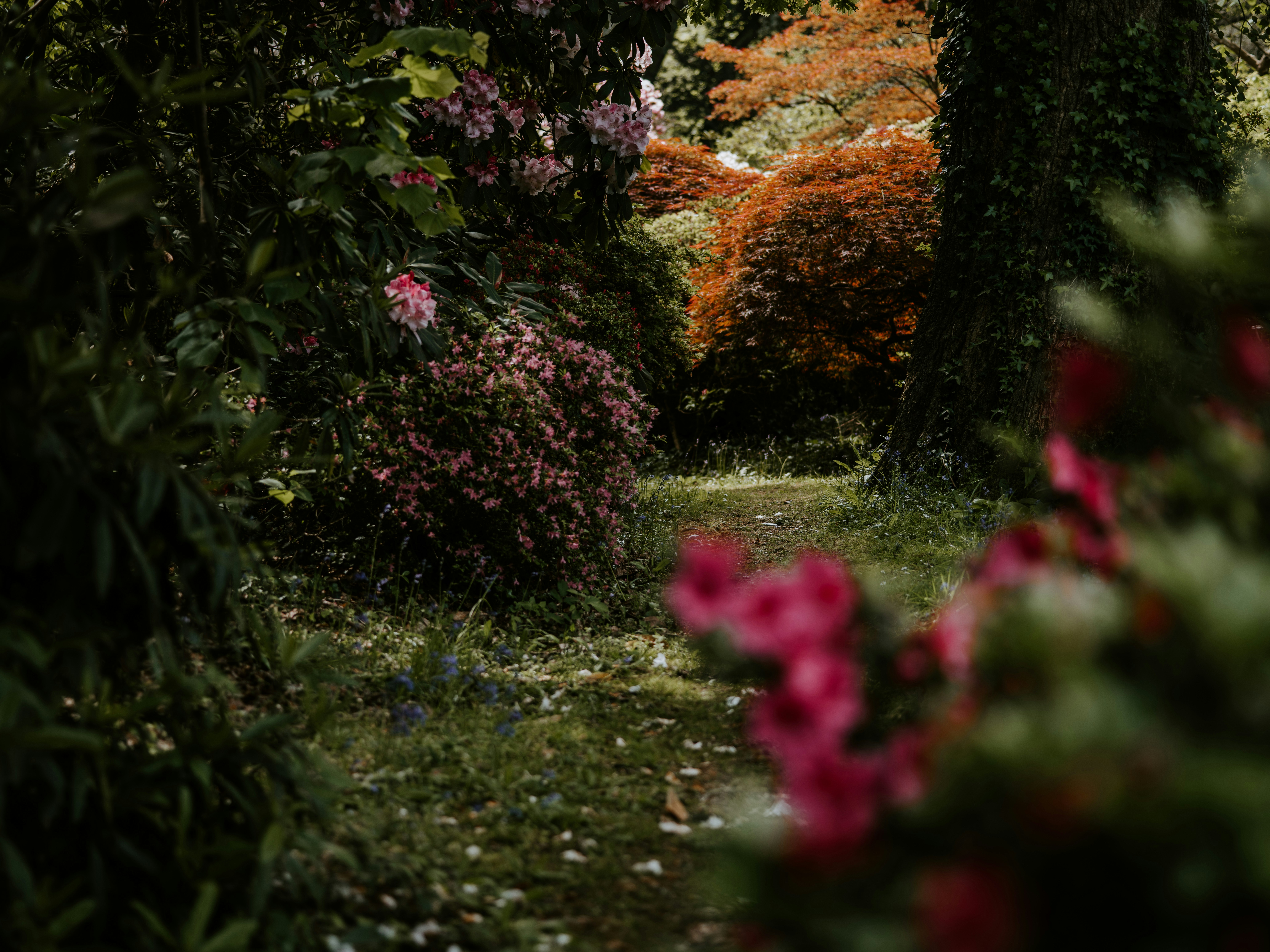 Photo by anniespratt