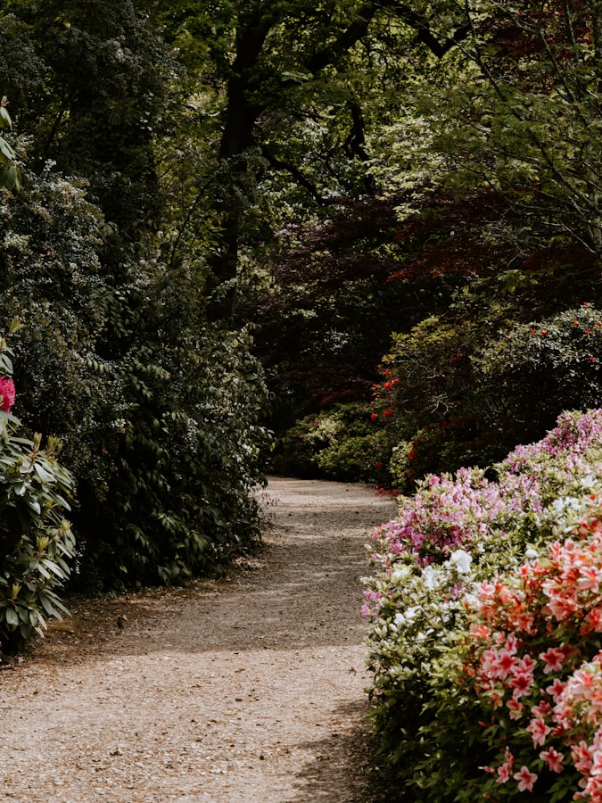 Gravel Garden | 40 Drought Tolerant Plant Ideas for your Homestead's Landscape 