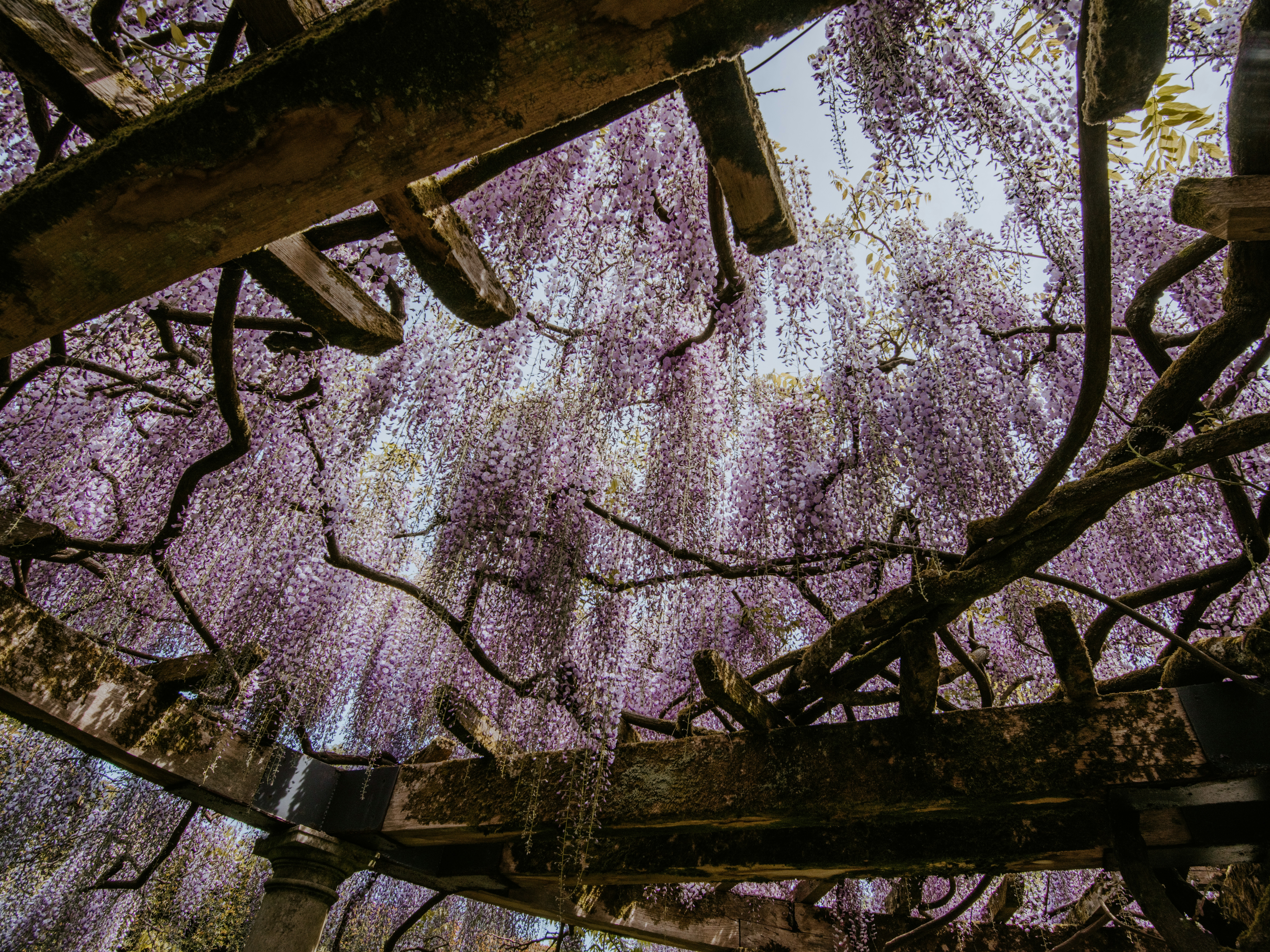 Photo by anniespratt