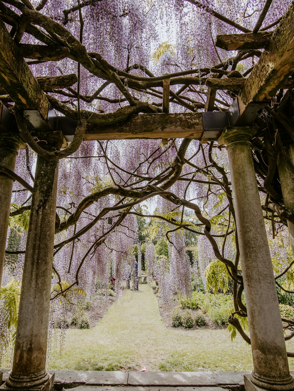 abandoned concrete gazebo on forest at daytime