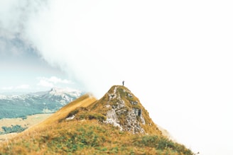 person standing on top of mountain