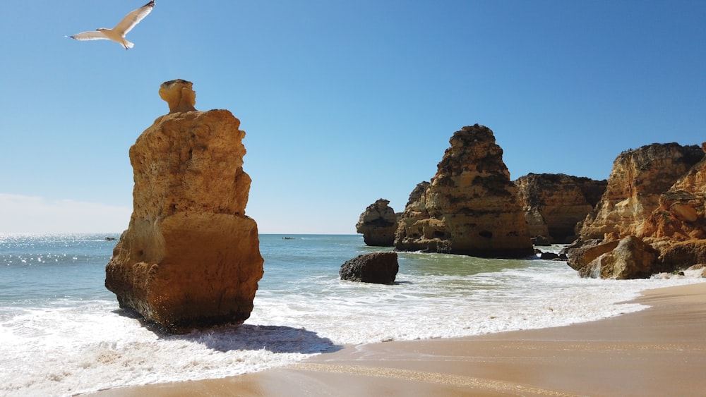 brown rock formation by the sea