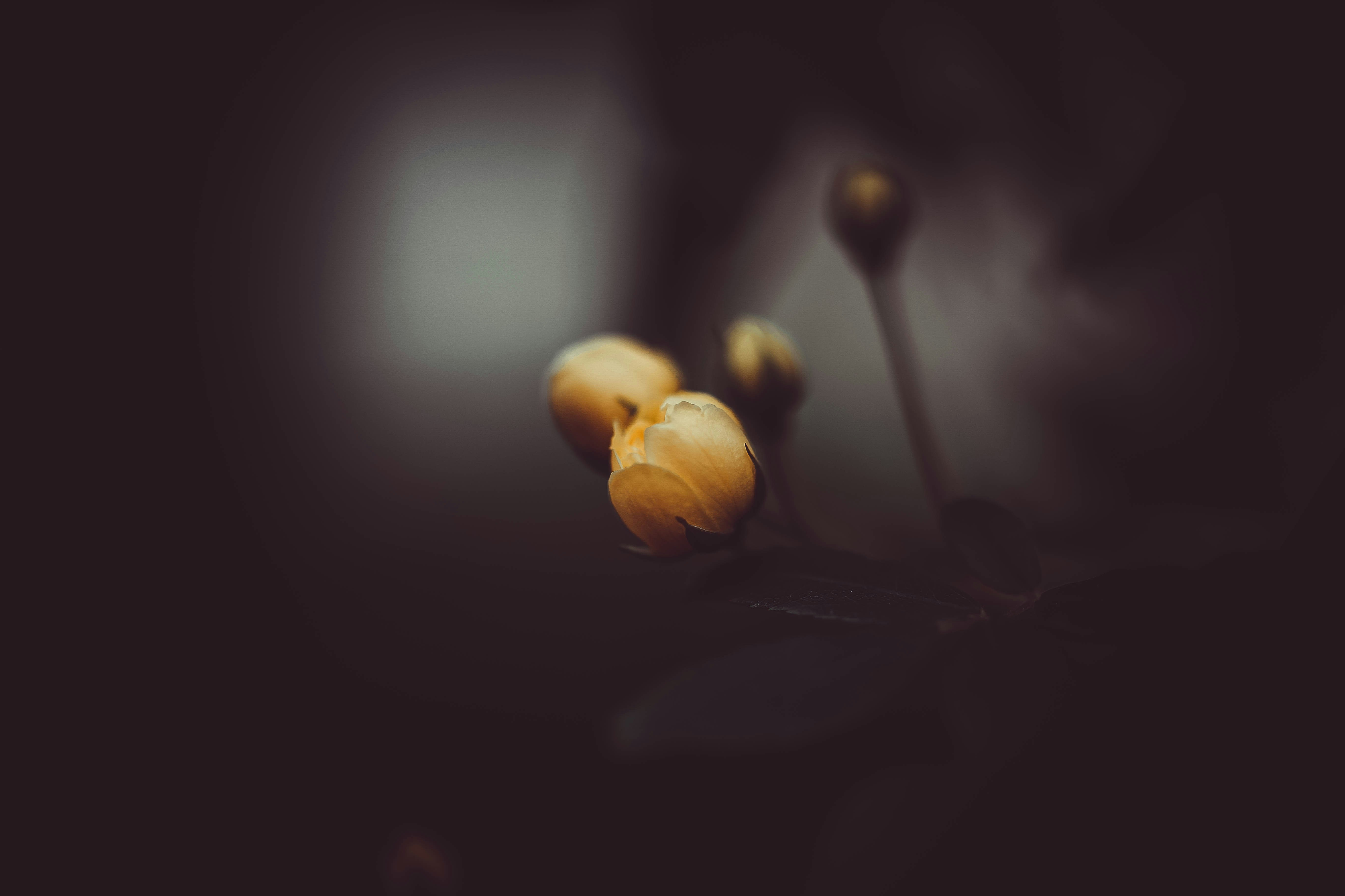 Photo by sindystrife