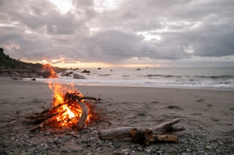 A small bonfire made of wooden logs burns brightly on a sandy beach, with waves gently lapping at the shore. The sky is overcast with thick clouds, casting a tranquil, muted light over the landscape.