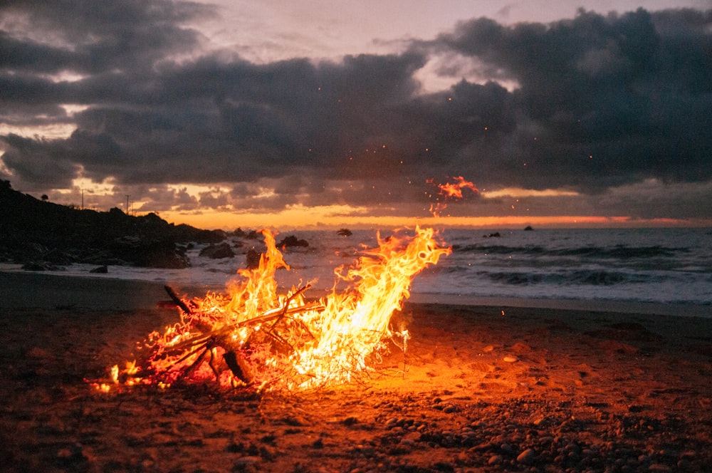 bonfire on shore near body of water