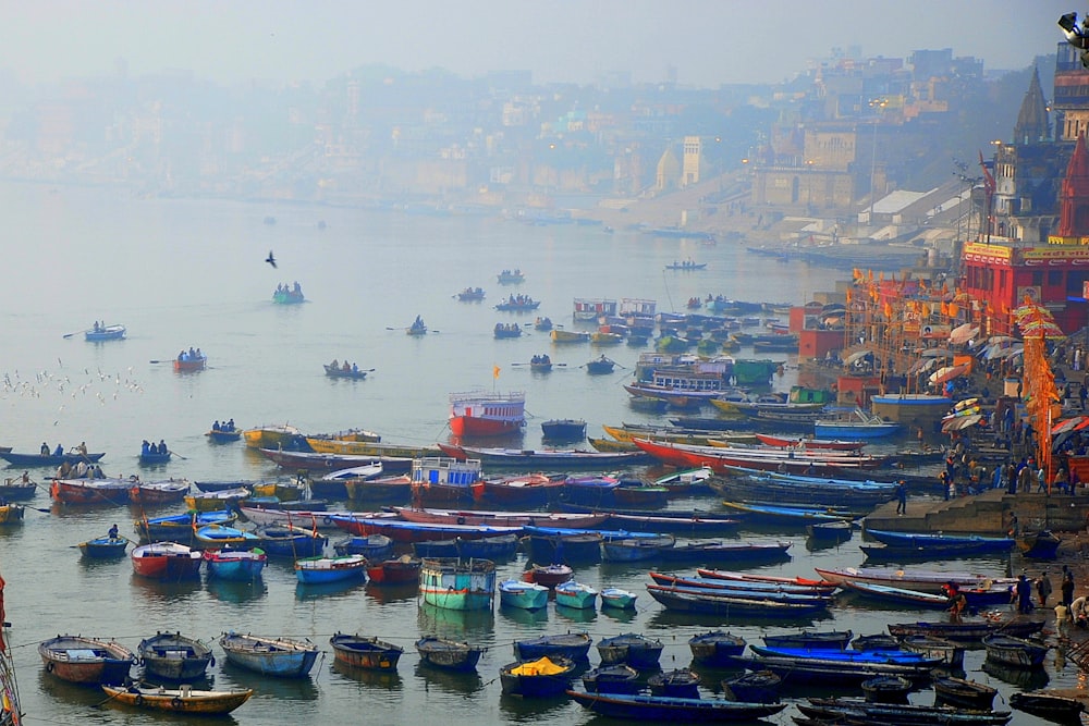 boats at the market