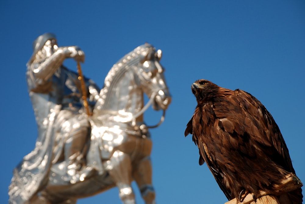 grey horse figurine beside black bird