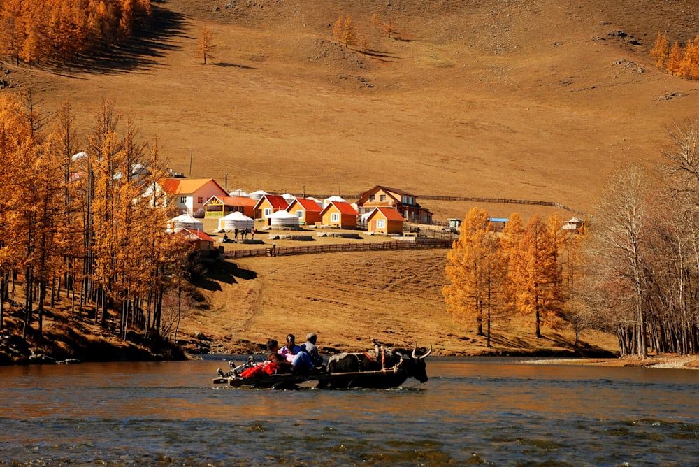 red and white houses facing body of water