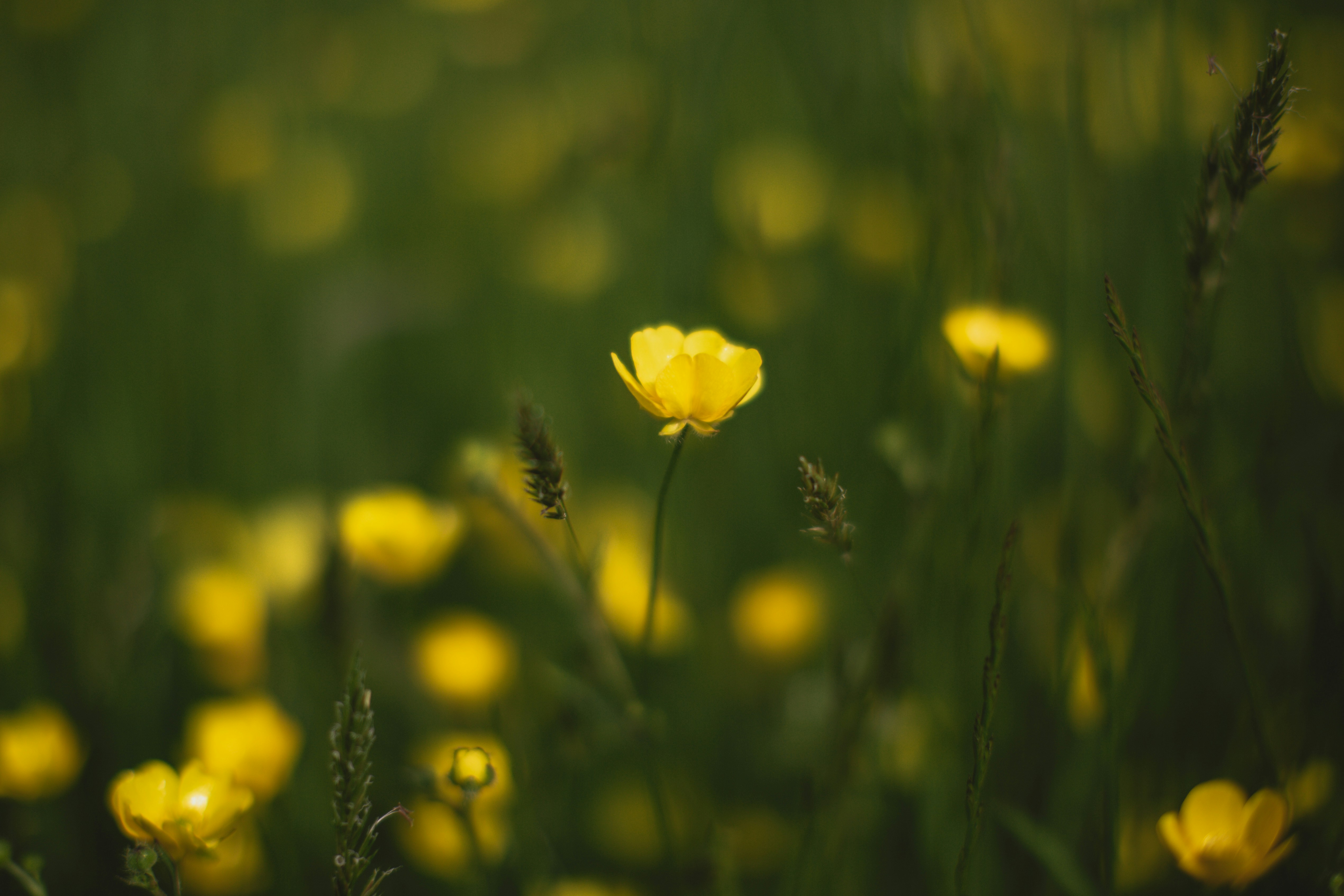 Photo by blackprojection