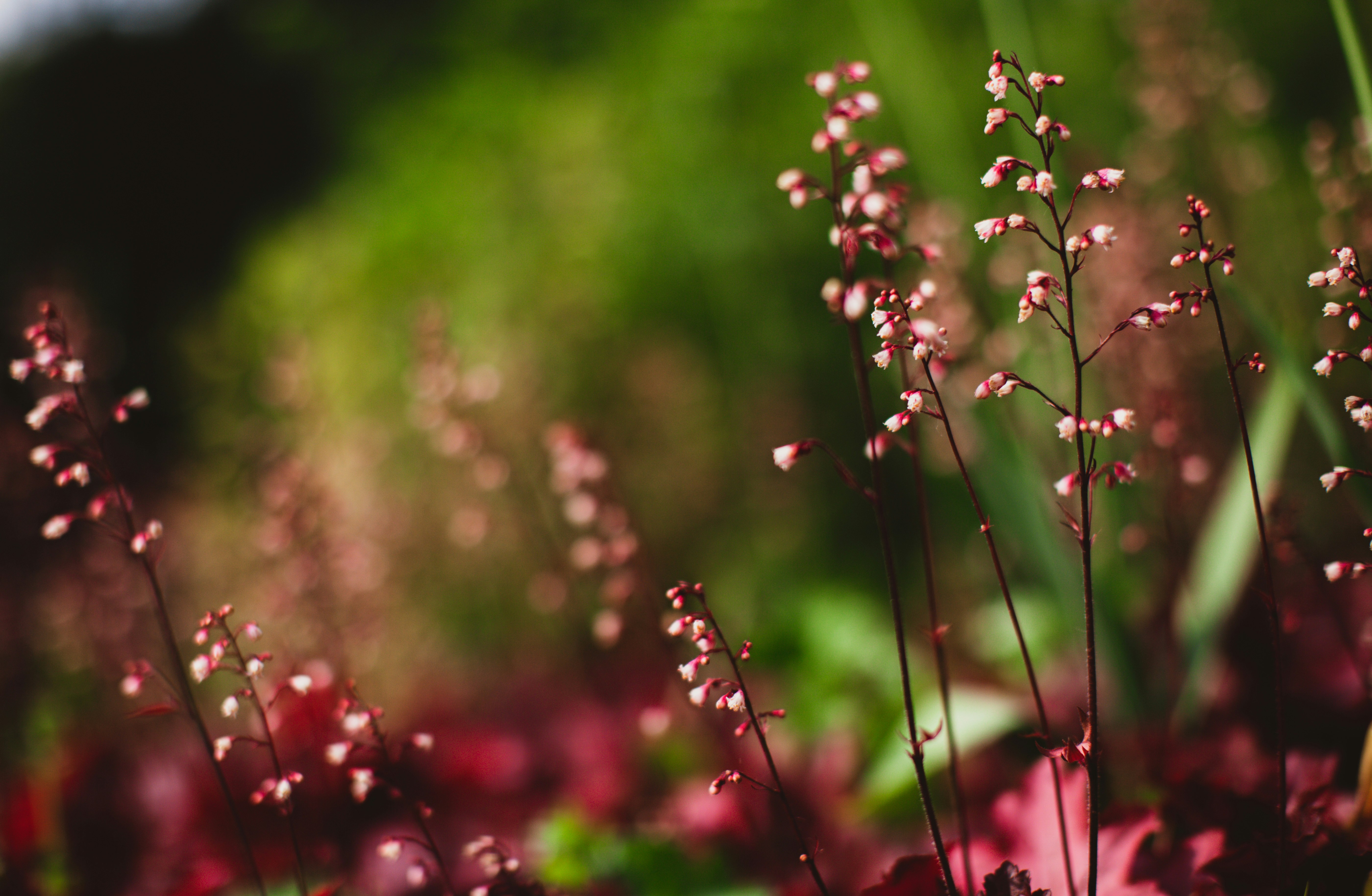 Photo by blackprojection