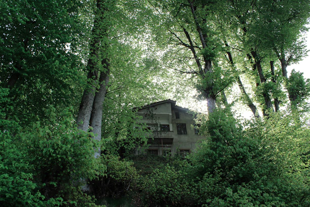 A serene villa surrounded by lush greenery under soft morning light.
