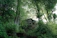 A cozy villa nestled among tall trees with soft morning light.