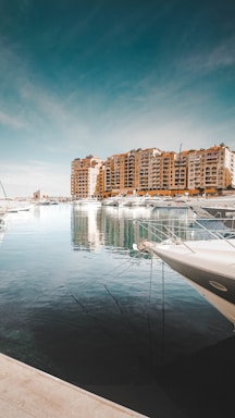 white and grey boat moored in dock