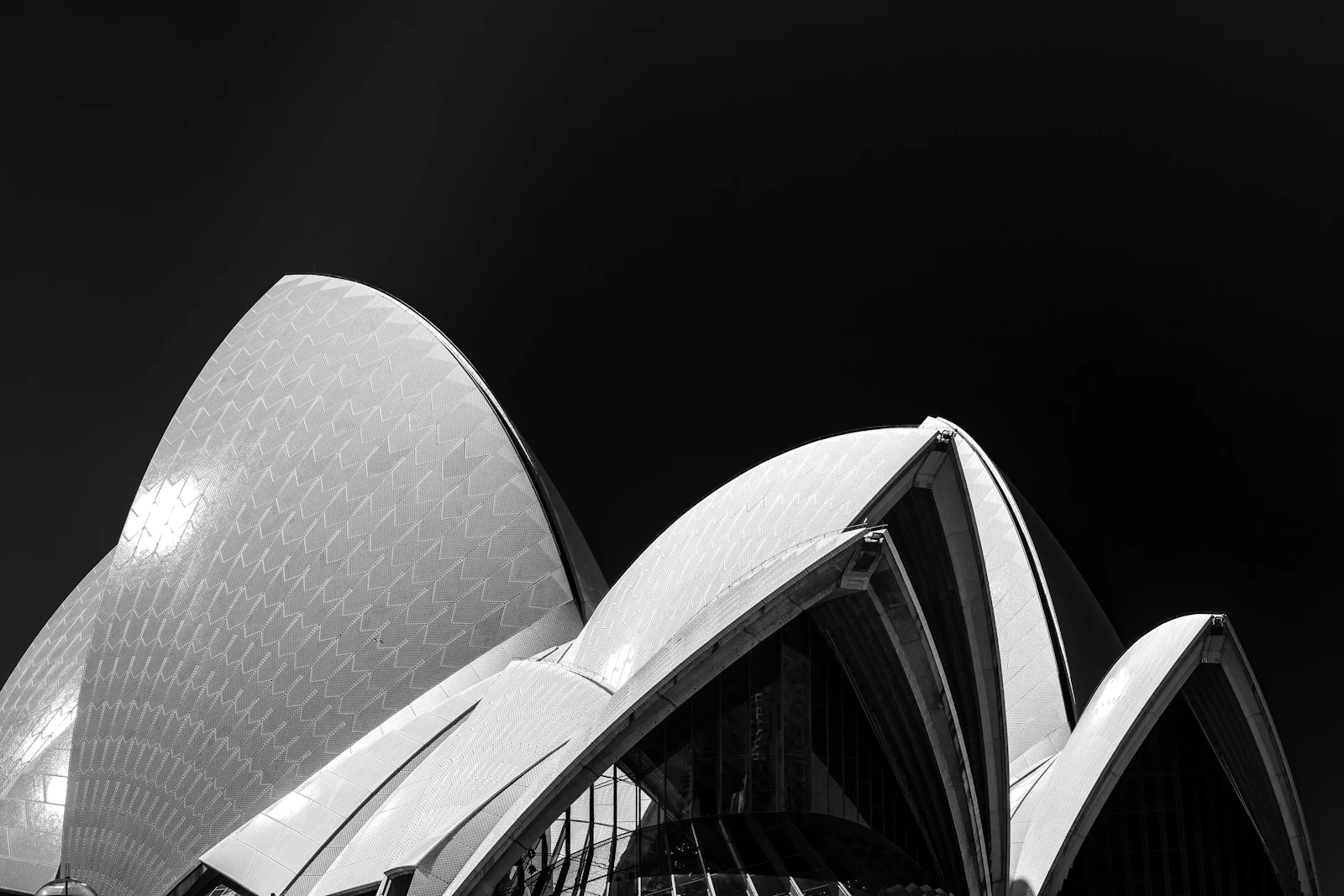 Black and white view of Sydney Harbour and the Opera House sails