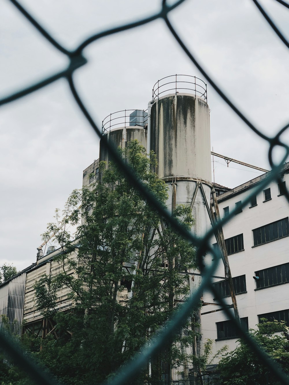 white concrete building