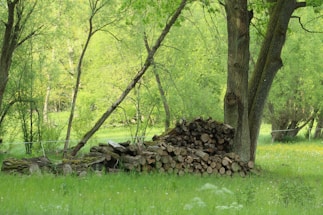 A serene forest scene with lush green foliage and trees surrounding a neatly stacked pile of cut logs. The grassy foreground is dotted with small wildflowers, adding a touch of color to the verdant landscape.