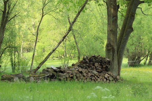 A serene forest scene with lush green foliage and trees surrounding a neatly stacked pile of cut logs. The grassy foreground is dotted with small wildflowers, adding a touch of color to the verdant landscape.