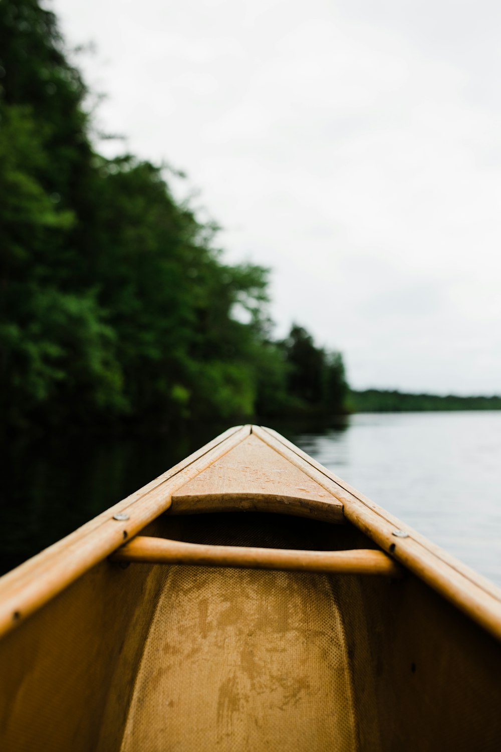 braunes Holzboot in der Nähe von Bäumen