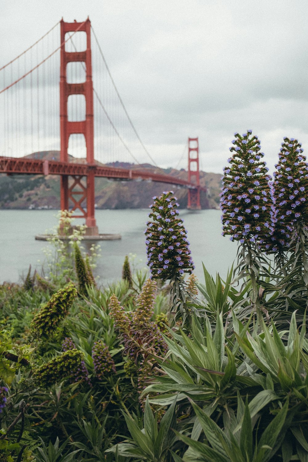 Golden Gate Bridge