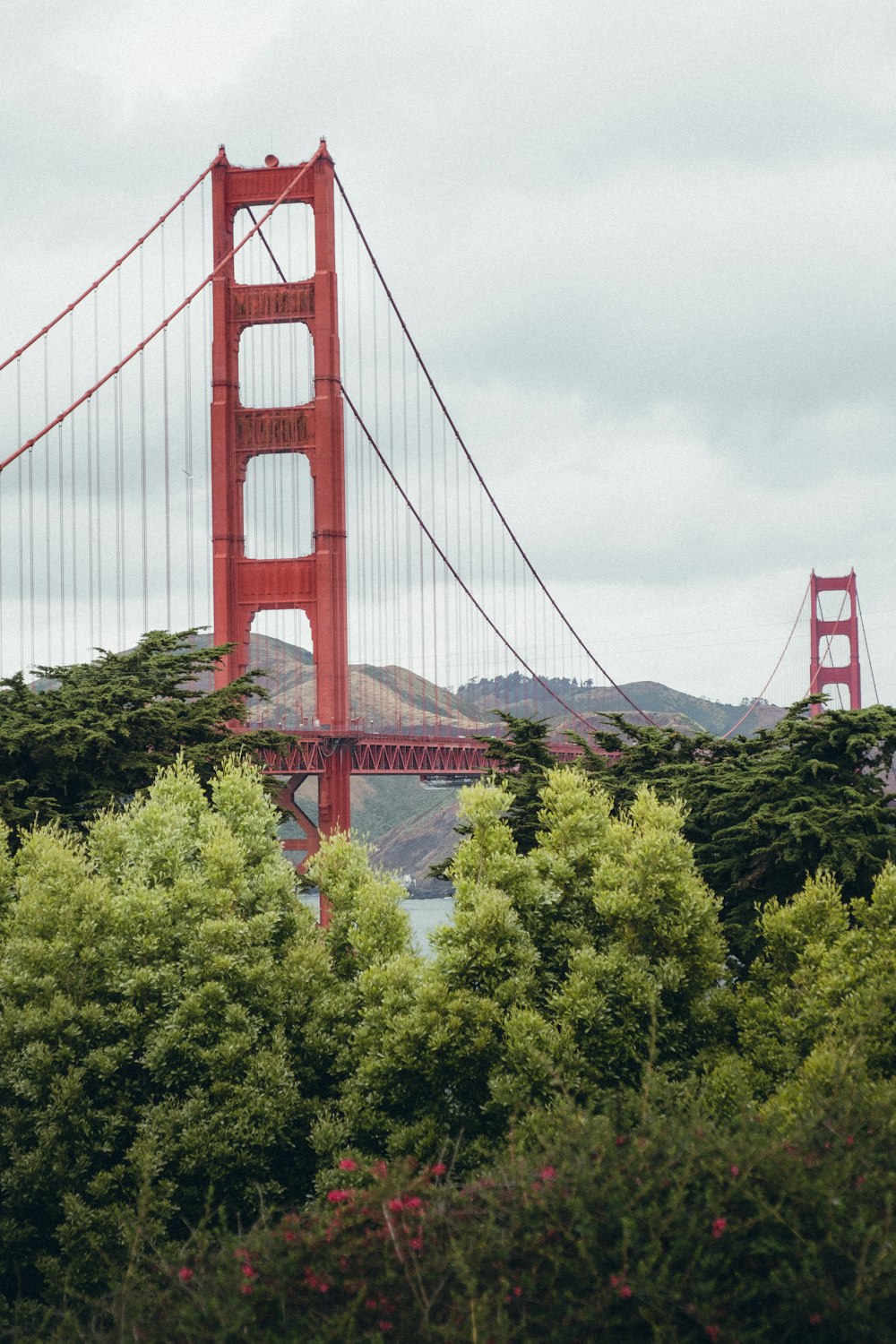 trees near Golden Gate Bridge during daytime