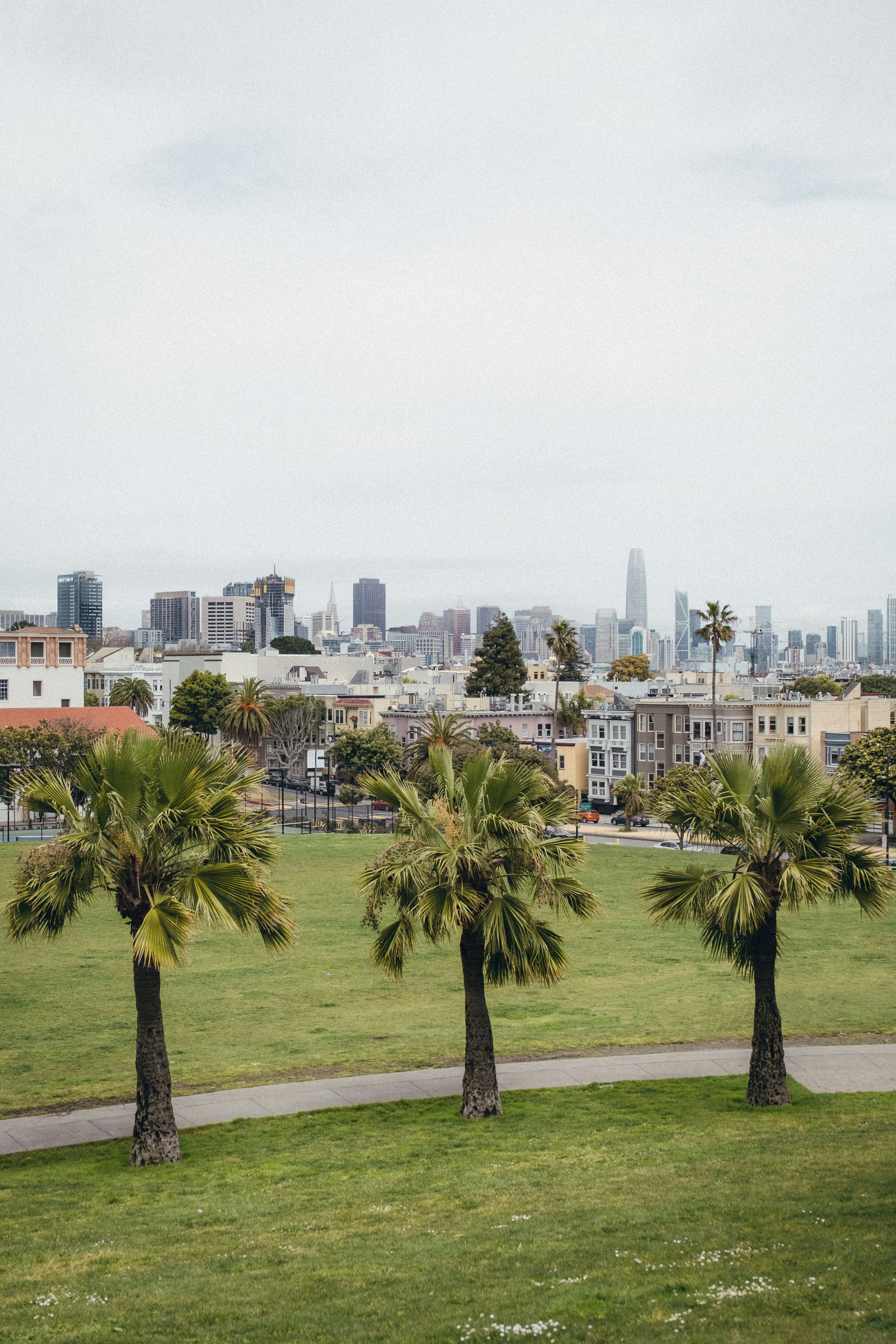 Photo by jonasvandermeiren