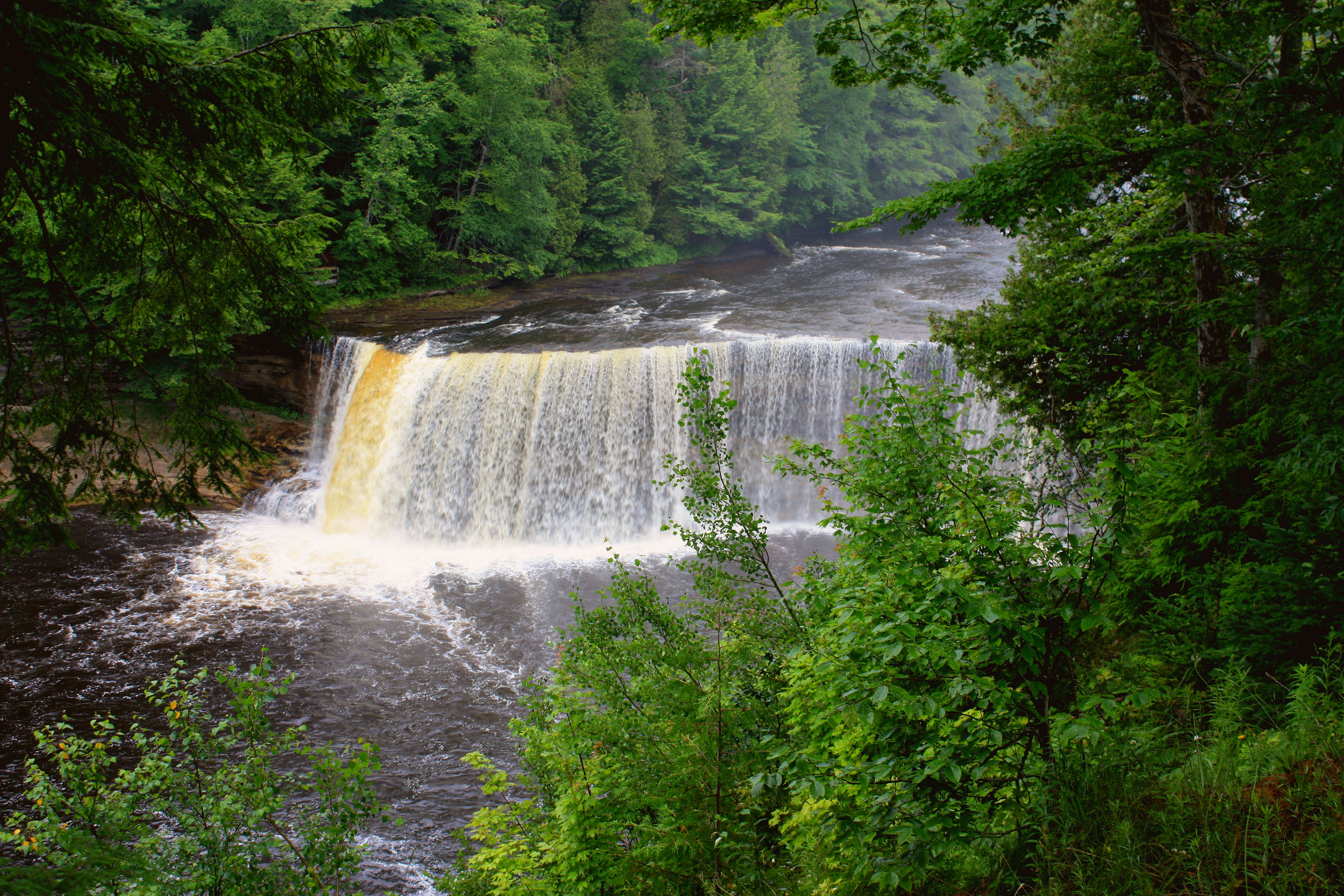 Photo by edcrockerphotos