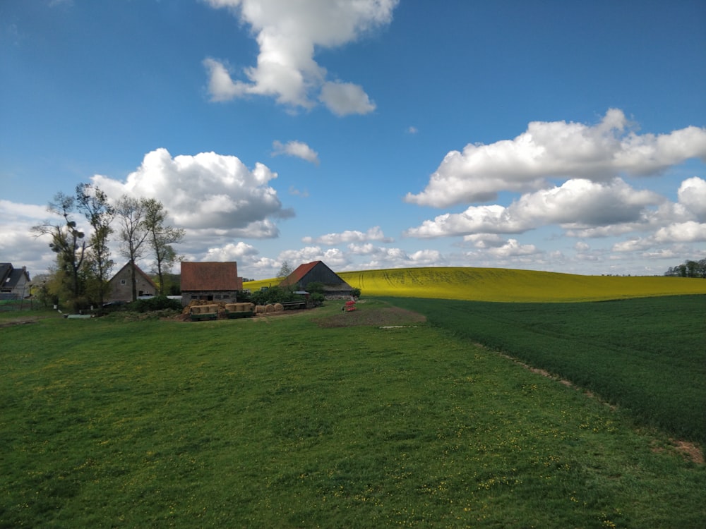 brown houses beside green fields at daytime