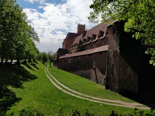 brown concrete buildings in Malbork Castle Museum Poland