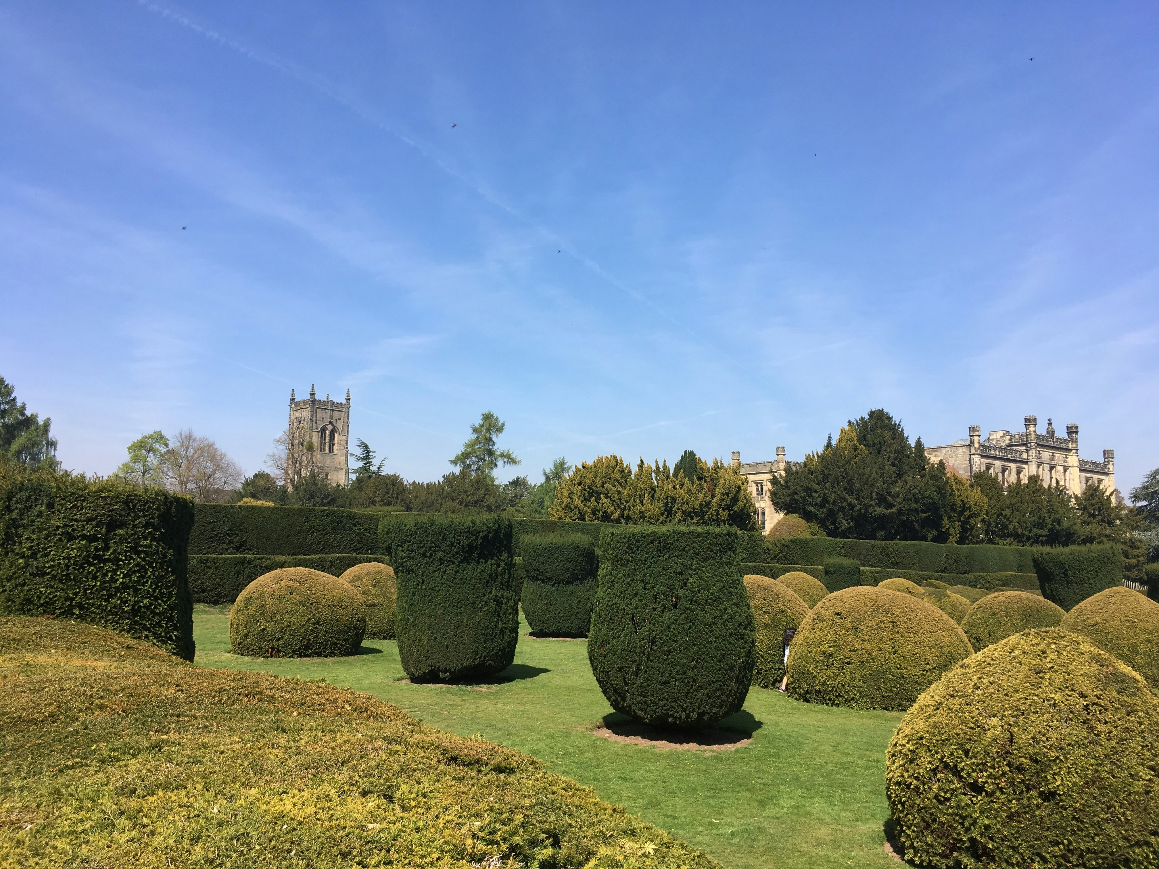 Southern Culture Landscaping's image