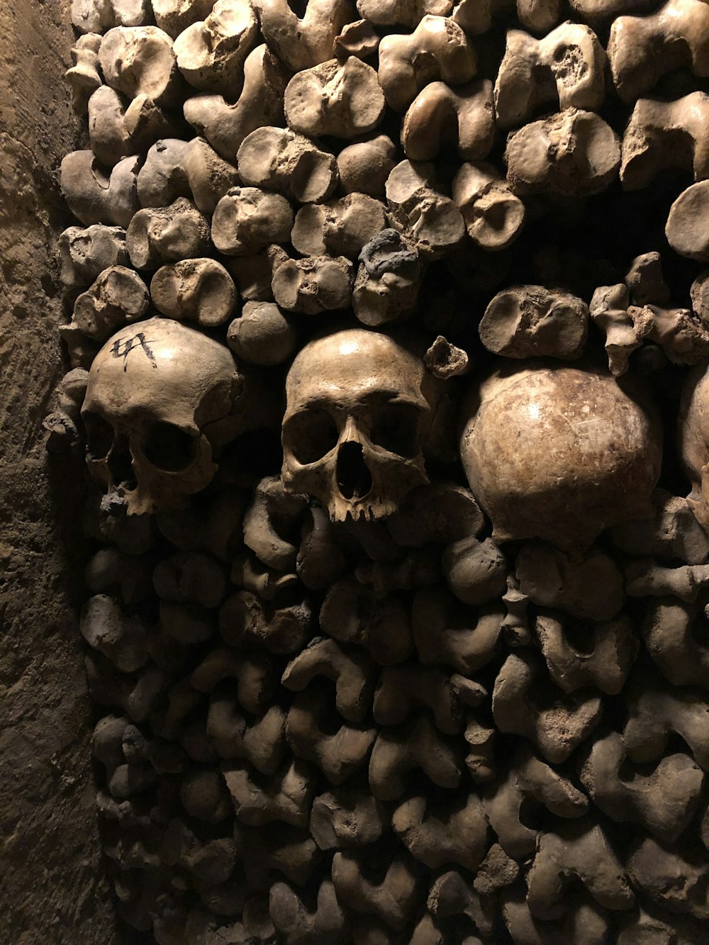 human skulls