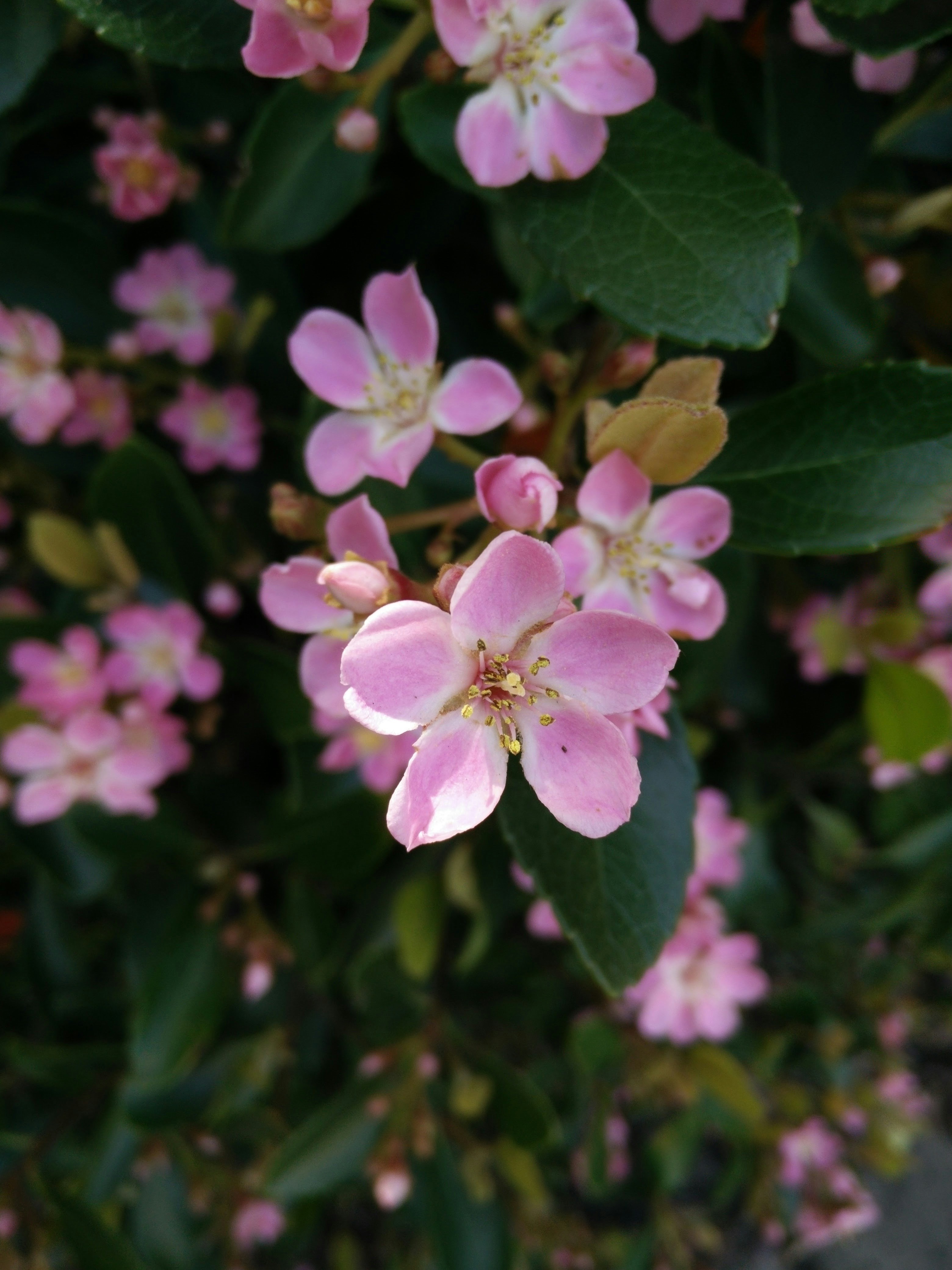 Photo by smileychrish