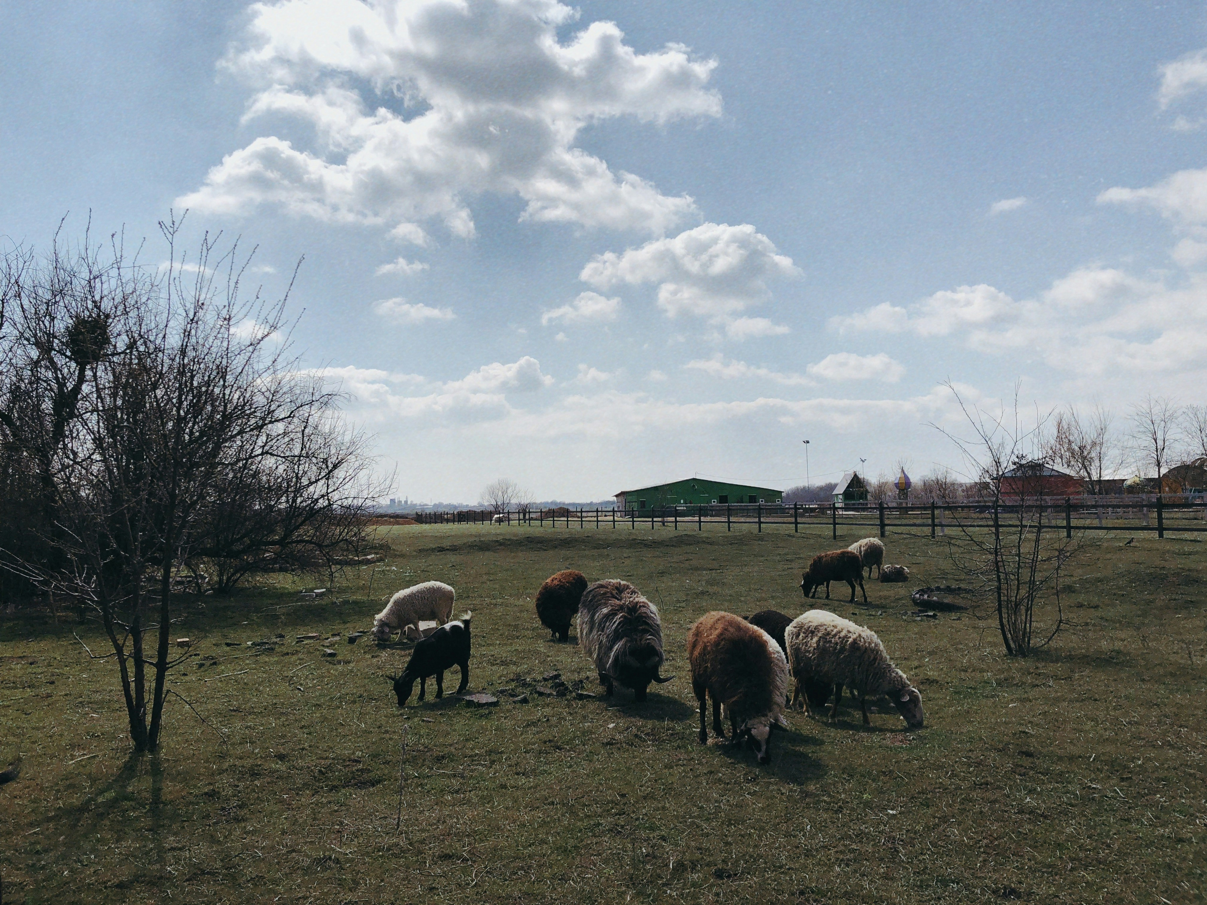 Photo by indwthnature