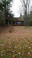 A cozy cabin surrounded by autumn trees and fallen leaves
