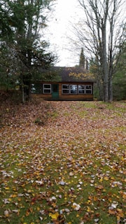Thumbnail of a cozy cabin surrounded by autumn leaves.