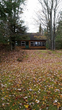 A cozy cabin surrounded by autumn trees and fallen leaves
