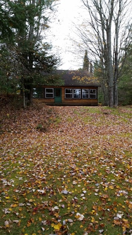 A welcoming cabin nestled among vibrant autumn trees in the Poconos.