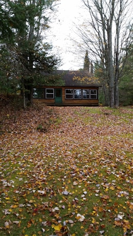 A quaint wooden cabin is nestled among tall trees, surrounded by a thick carpet of fallen autumn leaves. The cabin features large windows and a green door, set against a backdrop of vibrant fall foliage. The ground is covered in leaves ranging from yellow to brown, suggesting the transition of seasons.
