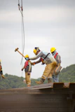 construction worker men holding hammer