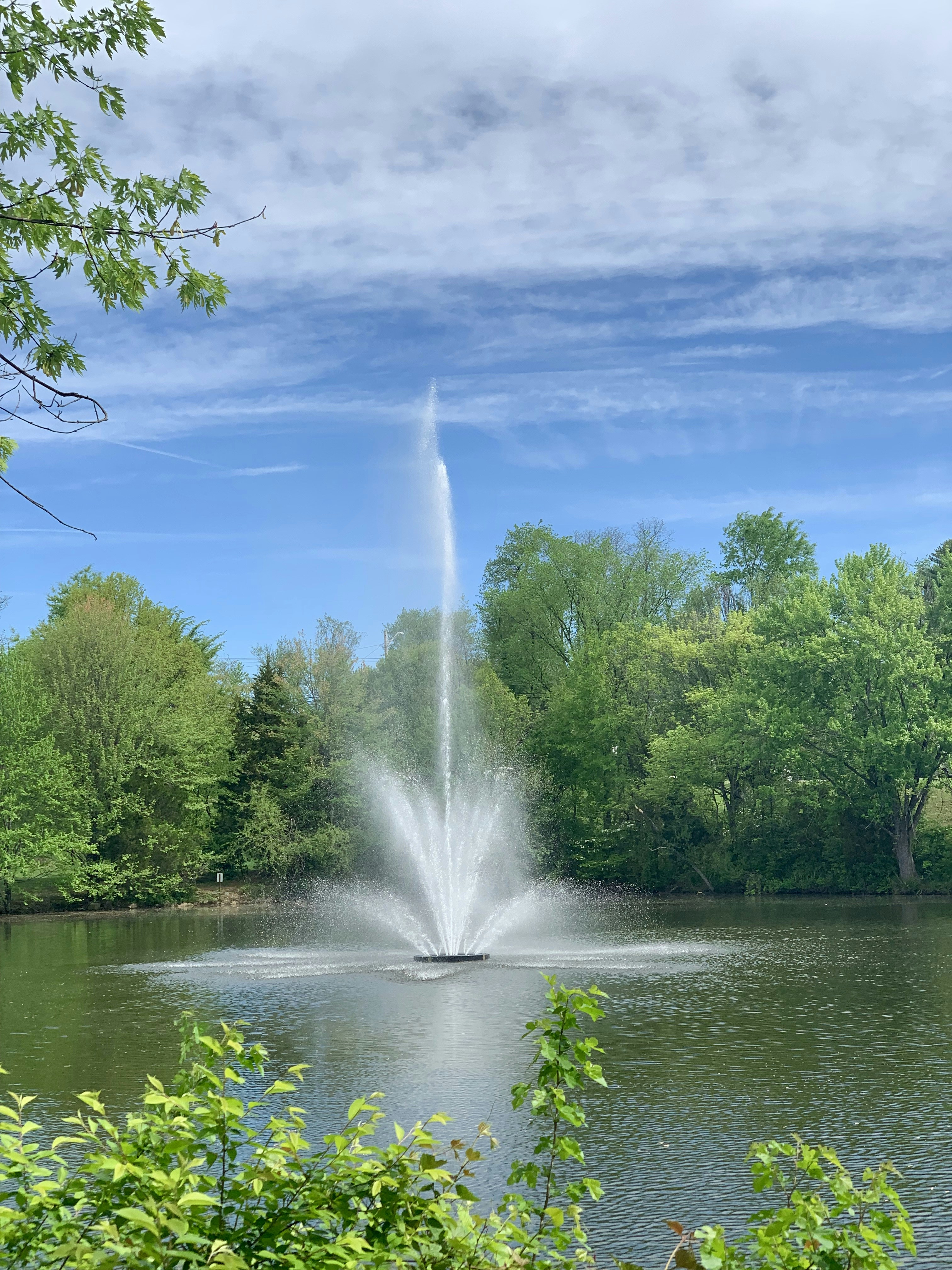 450+ Water Fountain Pictures | Download Free Images on Unsplash