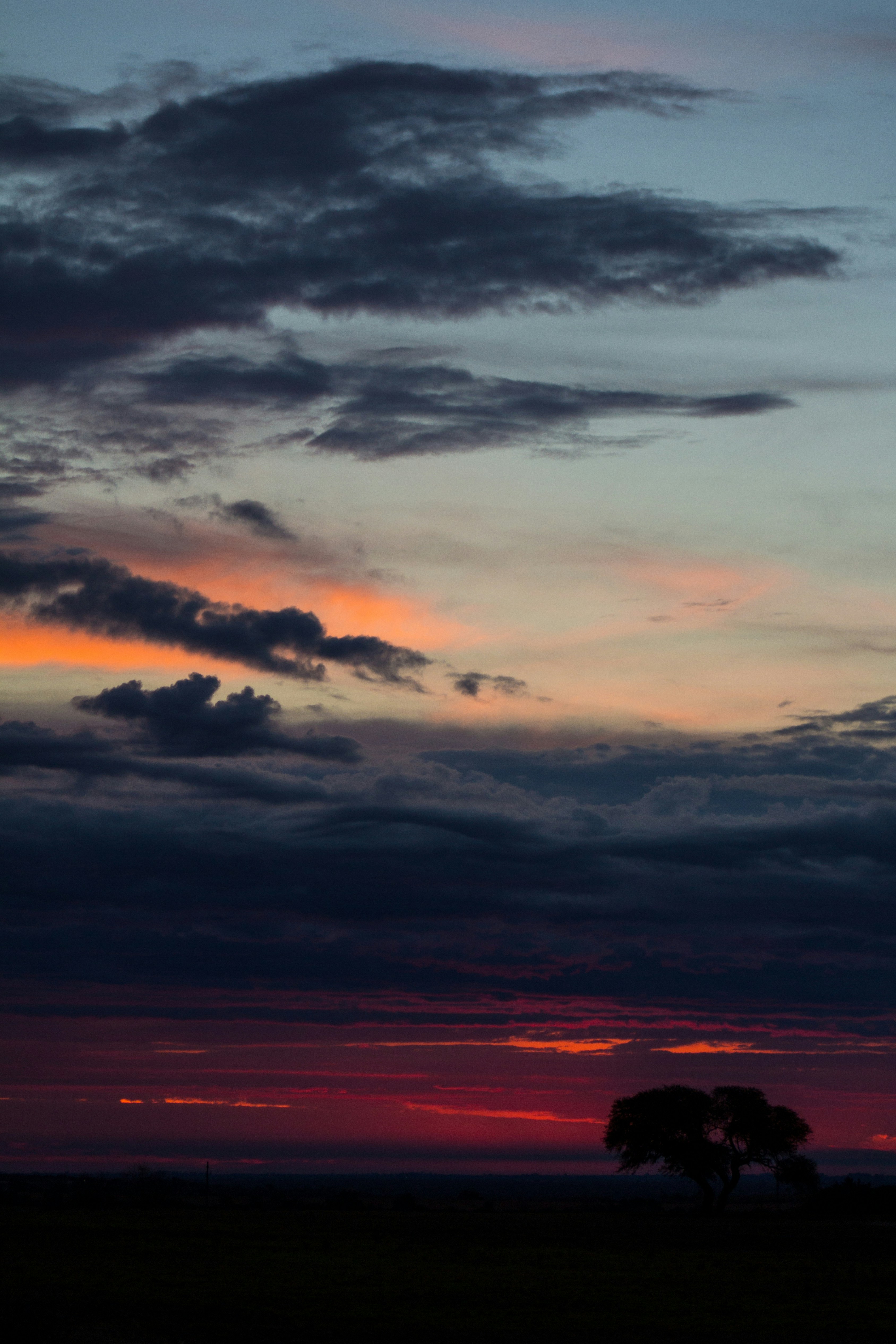 Photo by ggiqueaux
